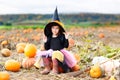 Little girl wearing halloween witch costume on pumpkin patch Royalty Free Stock Photo