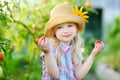 Adorable little girl wearing hat picking fresh ripe organic tomatoes in a greenhouse Royalty Free Stock Photo