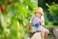 Adorable little girl wearing straw hat and childrens garden gloves playing with her toy garden tools in a greenhouse on summer day Royalty Free Stock Photo