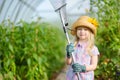 Adorable little girl wearing straw hat and childrens garden gloves playing with her toy garden tools in a greenhouse on summer day Royalty Free Stock Photo