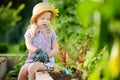 Adorable little girl wearing straw hat and childrens garden gloves playing with her toy garden tools in a greenhouse on summer day Royalty Free Stock Photo