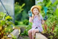 Adorable little girl wearing straw hat and childrens garden gloves playing with her toy garden tools in a greenhouse Royalty Free Stock Photo