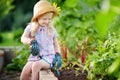 Adorable little girl wearing straw hat and childrens garden gloves playing with her toy garden tools in a greenhouse Royalty Free Stock Photo