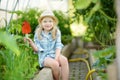 Adorable little girl wearing straw hat playing with her toy garden tools in a greenhouse on sunny summer day Royalty Free Stock Photo