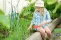 Adorable little girl wearing straw hat playing with her toy garden tools in a greenhouse on sunny summer day Royalty Free Stock Photo