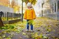 Adorable little girl in yellow jacket walking in autumn park on a sunny fall day Royalty Free Stock Photo