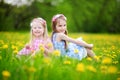 Adorable little girls wearing wreaths in blooming dandelion meadow on beautiful spring day