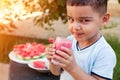 Cute little boy drinking watermelon juice in the garden Royalty Free Stock Photo