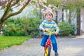 Adorable little kid boy driving his first bike or laufrad Royalty Free Stock Photo