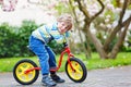 Adorable little kid boy driving his first bike or laufrad Royalty Free Stock Photo