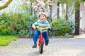 Adorable little kid boy driving his first bike or laufrad Royalty Free Stock Photo