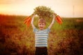 Adorable little kid boy picking carrots in domestic garden on the sunset