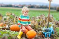 Adorable little kid boy picking pumpkins on Halloween pumpkin patch. Child playing in field of squash. Kid pick ripe Royalty Free Stock Photo