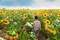 Adorable little kid boy on summer sunflower field outdoor. Happy child sniffing a sunflower flower on green field Royalty Free Stock Photo