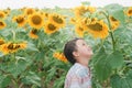 Adorable little kid boy on summer sunflower field outdoor. Happy child sniffing a sunflower flower on green field Royalty Free Stock Photo