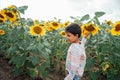 Adorable little kid boy on summer sunflower field outdoor. Happy child sniffing a sunflower flower on green field. Royalty Free Stock Photo