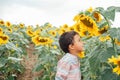 Adorable little kid boy on summer sunflower field outdoor. Happy child sniffing a sunflower flower on green field. Royalty Free Stock Photo