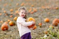 Adorable little kid girl having fun on pumpkin patch. Royalty Free Stock Photo