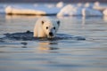 Adorable Little Polar Bear Standing in Cold Water, Gazing Curiously into the Camera Royalty Free Stock Photo