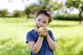 Adorable little preschool kid girl eating green apple on organic farm Royalty Free Stock Photo