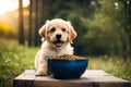 Adorable Little Puppy Eating Dog Food From A Bowl. Feeding Pets Is A Notion. Generative AI Royalty Free Stock Photo