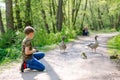 Adorable little school kid boy feeding wild geese family in a forest park. Happy child having fun with observing birds Royalty Free Stock Photo