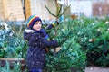 Adorable little smiling kid boy holding Christmas tree on market. Happy healthy child in winter fashion clothes choosing Royalty Free Stock Photo