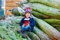 Adorable little smiling kid boy holding Christmas tree on market. Happy healthy child in winter fashion clothes choosing Royalty Free Stock Photo