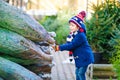 Adorable little smiling kid boy holding Christmas tree on market. Happy healthy child in winter fashion clothes choosing Royalty Free Stock Photo
