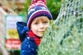 Adorable little smiling kid boy holding Christmas tree on market. Happy healthy child in winter fashion clothes choosing Royalty Free Stock Photo