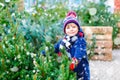 Adorable little smiling kid boy holding Christmas tree on market. Happy healthy child in winter fashion clothes choosing Royalty Free Stock Photo