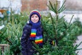 Adorable little smiling kid boy holding Christmas tree on market. Happy healthy child in winter fashion clothes choosing Royalty Free Stock Photo