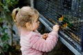 Adorable little toddler girl feeding parrots in zoological garden. Happy child playing and feed trusting friendly birds Royalty Free Stock Photo