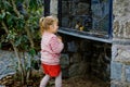 Adorable little toddler girl feeding parrots in zoological garden. Happy child playing and feed trusting friendly birds Royalty Free Stock Photo