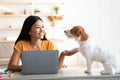 Adorable long coat small dog giving paw his female owner Royalty Free Stock Photo