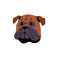 Adorable Mastiff avatar. Cute muzzle of boxer puppy. Funny guard dog face. Bulldog pup snout portrait. Amusing doggy of Royalty Free Stock Photo