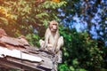 Adorable monkey sitting on a moldy wood on blurred nature background. Royalty Free Stock Photo