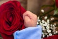 Adorable mother and baby hands in bed of red roses. Red rose in the hands of a newborn. Red rose in the hands of a newborn baby. Royalty Free Stock Photo