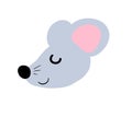 A Sleeping Little Adorable Mouse