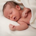 Adorable New born baby sleep Royalty Free Stock Photo