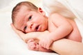 Adorable New born baby sleep Royalty Free Stock Photo