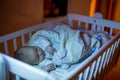 Adorable newborn baby boy, sleeping in crib at night Royalty Free Stock Photo