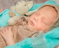 Adorable newborn baby with bunny-toy in cot Royalty Free Stock Photo