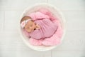 Adorable newborn girl lying in baby nest on light background Royalty Free Stock Photo