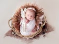 Adorable newborn girl resting in basket