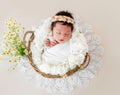 Adorable newborn sleeping in basket