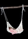 Adorable newborn suspended in hammock