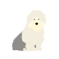 Adorable Old English Sheepdog puppy sitting isolated on white background. Cute cartoon long haired dog puppy.