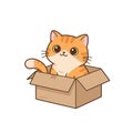 Adorable Orange Tabby Cat Peeking Out of a Cardboard Box Royalty Free Stock Photo
