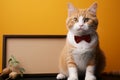 Adorable orange tabby cat poses with whiteboard, a playful companion